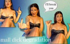 Small Dick Humiliation: I’ll Break You