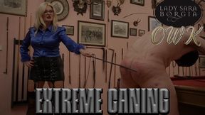OWK - Extreme Caning (4K)