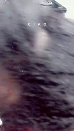 I came over sloppy blowjob came to fix her pipes but this end up happening