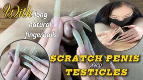 C4SBondage25 Scratch Penis And Testicles With Long Natural Fingernails | LINH'S LONG NAIL | CRAZY ABOUT LONG AND NATURAL NAILS