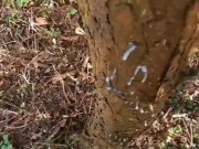 Cheeky wank in the woods with a moan