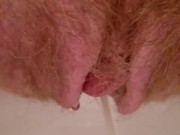 Powerful short piss from hairy (gingery) pussy