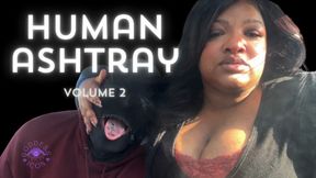 Human Ashtray Volume 2
