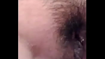 zorrita sure&ntilde_a