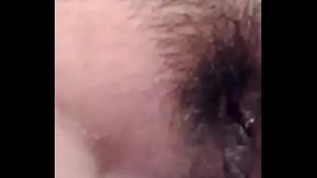 zorrita sure&ntilde_a