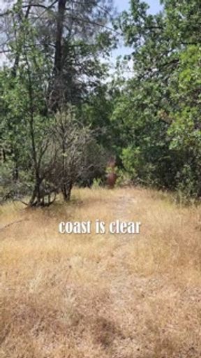 Nudist Couple Fucks on Public Hike | Tan Lines | She walks home with Cum on her tits