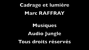 Pillonage en d'un petit cul serré et imberbe par la bite d'un marin b. - Lifeguard - Scène 4