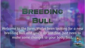 Breeding Bull