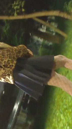Sexy Little Ponnyboy sissy walking in shop and outside   Clip 2