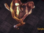 Furry Yaoi - Dog Fucked Standing from Fox with cum inside