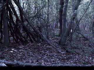 Cutie Gets Lost in the Woods - Valentina Nappi Frozen in Time and Facefucked
