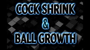 COCK SHRINK & BALL GROWTH