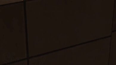 compilation furry o1 hmv