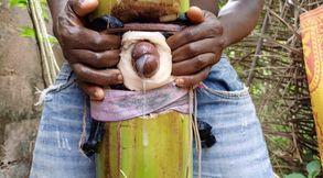 Long big dick is on slut again