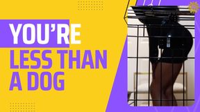 You're Less Than A Dog