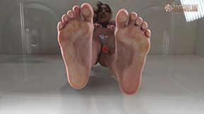 Giantess Feet Persia's Dirty Foot Crush! 1080 HD