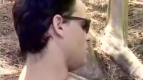 Iron Rod In White On Dark Rod In The Forest - Iron Horse