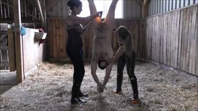 Slave punishment in the Stable double domination