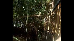 Corrida en &eacute_l bosque