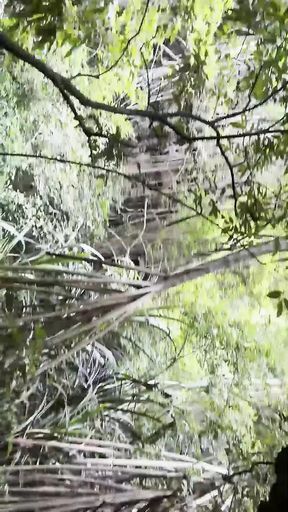 18 Year Old Creampied By Stranger In Rainforest
