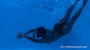 Pool Diving