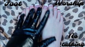 Foot Worship ( no talking )