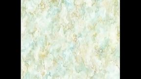 2B XXX - TransCams.live