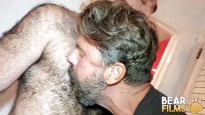 BEARFILMS hairy gay men Rob Hairy and Ale Tedesco bareback