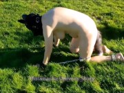 VOST engl - Animalisation 5 dans le jardin pour cette femelle inférieure nue.