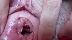 Big clit insertion compilation up close