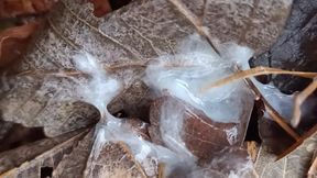 Cumshot in the Park and Showing Cum on the Ground Close up