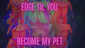 Edge til you become my pet