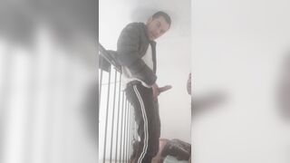 Cuidando la casa de una amiga