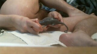 Plastic dildo rat and toy