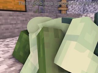 Minecraft porn in cave