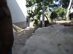 yo y la mosca