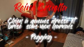 Chien à queues dressé et brisé sous mon harnais (Pegging)