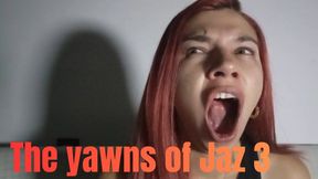 The yawns of Jaz 3