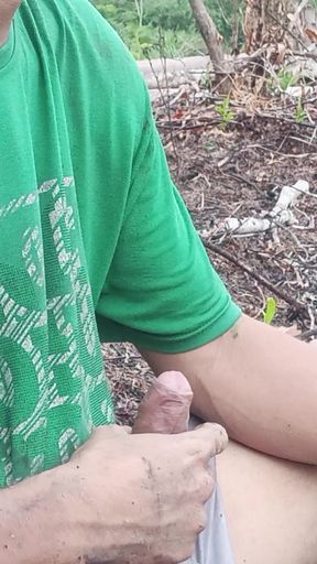 Cock in the palm grove