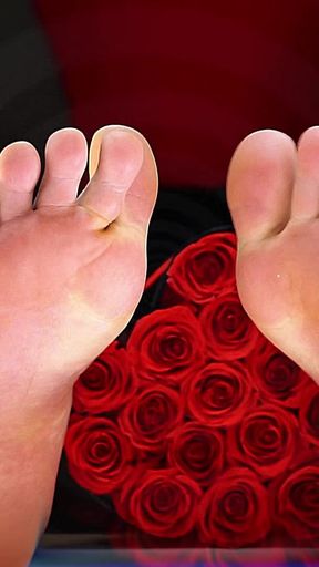 San Valentine's Master Feet Edition