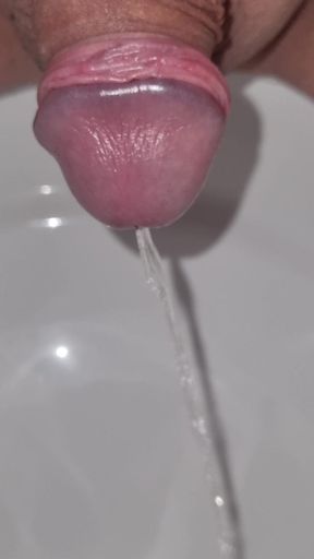 Long Piss in Toilet