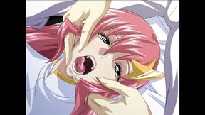 Gundam Seed Destiny Sf Part4 Hapite