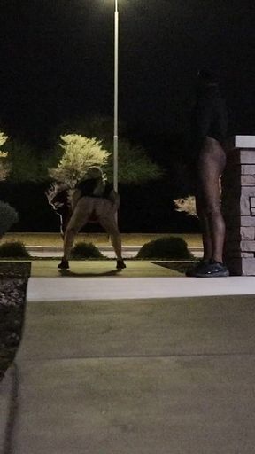 Thick BBW Wife Strips and Throw That Ass Back in Public! Badblondiemonroe