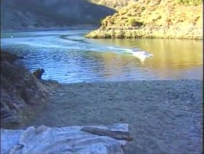 Threesome fucking on the beach