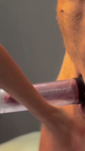 Look. He Can’t Resist. I Choose the Slap.