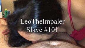 (HD) Slave #101 - POV Clips during Marathon Birthday Blowjob in Hotel