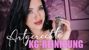 Artgerechte KG-Reinigung