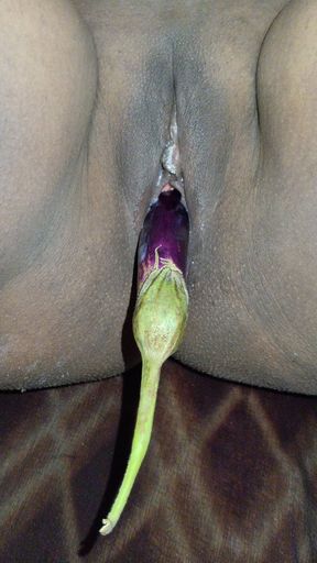 Stepsister Home Alone Masturbating Brinjal Cumout