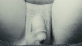 Male Chasity & Anal Encouragement (B&W)