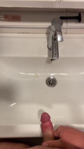 Huge load in Hotel bathroom